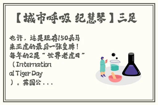4399在线观看